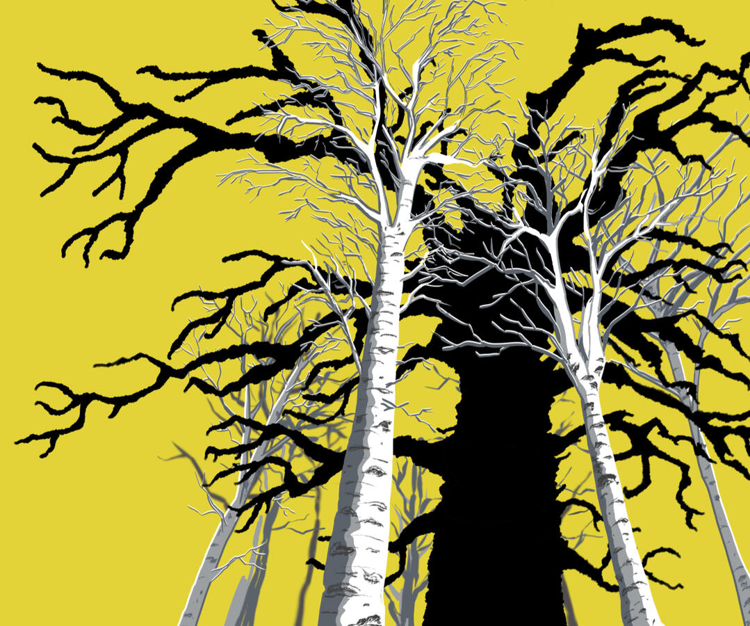 The Black Lord (book cover); Client: Tenebrous Press